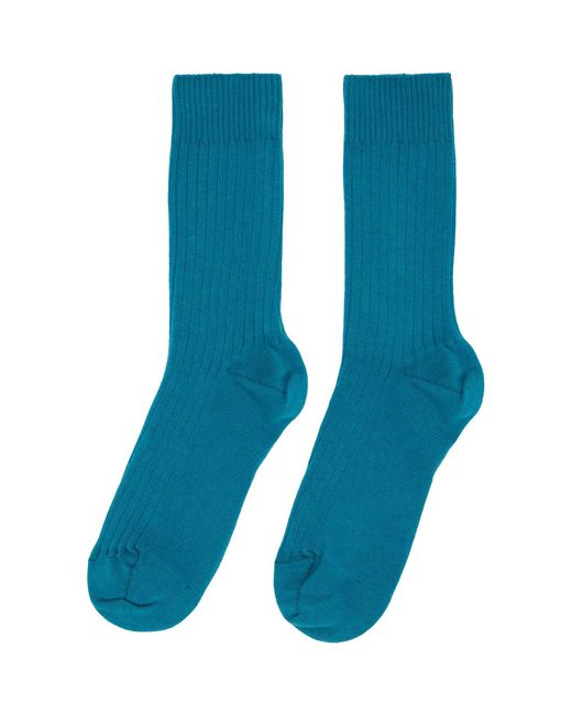 Baserange Blue Three-Pack Cotton Rib Overankle Socks