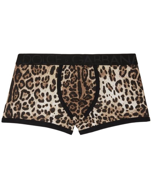 Dolce & Gabbana Cotton Dolcegabbana Leopard Boxers in Black for Men | Lyst
