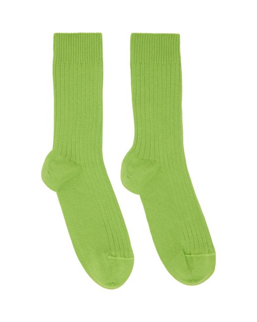 Baserange Blue Three-Pack Cotton Rib Overankle Socks