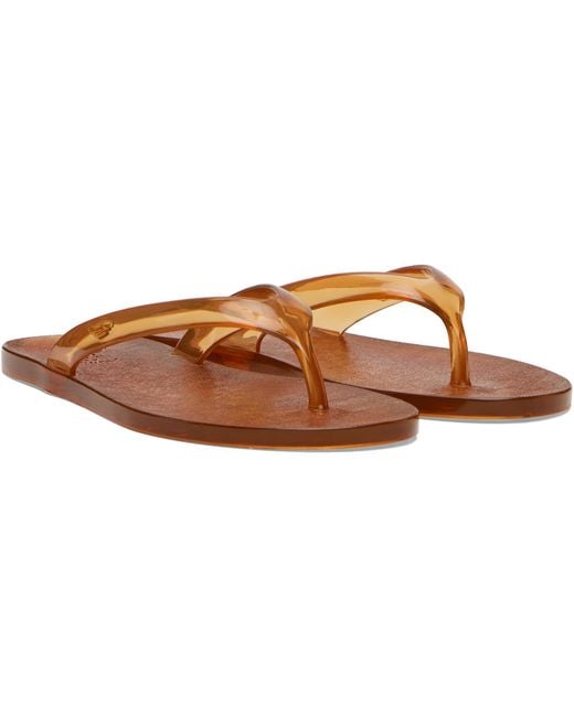 Ancient Greek Sandals Black Jelly Flip-Flops