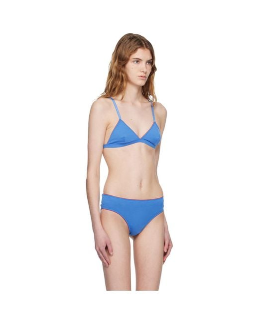 Bellini Bikini Blue Two-Pack Halo Bralettes