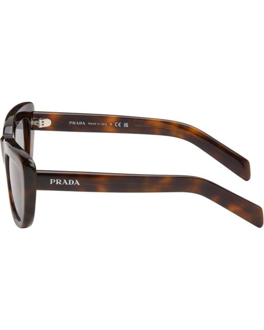 Prada Brown Collection' Sunglasses