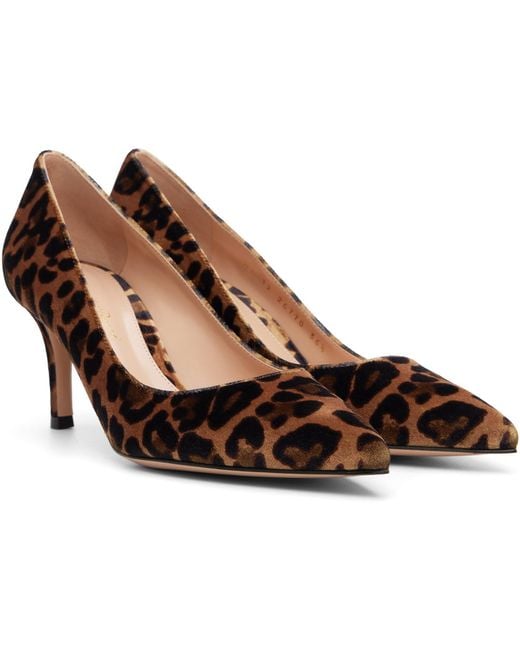 Gianvito Rossi Brown Gianvito 70 Heels