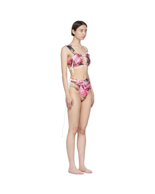 OTTOLINGER Black Pink & Brown Laced Bikini Top