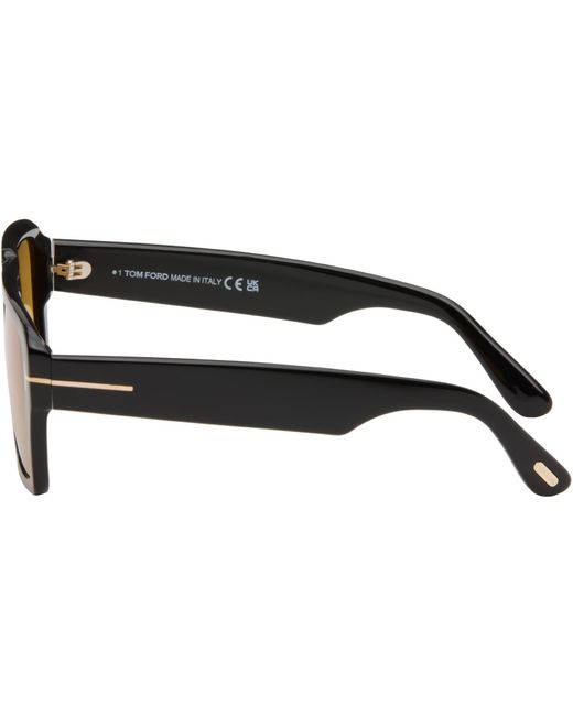 Tom Ford Brown Redford Sunglasses for men