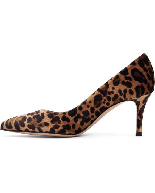 Gianvito Rossi Brown Gianvito 70 Heels