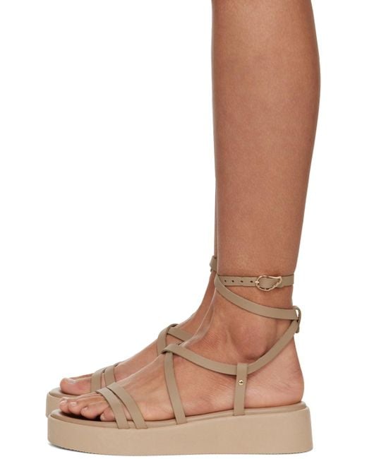 Ancient Greek Sandals Brown Aristea Sandals