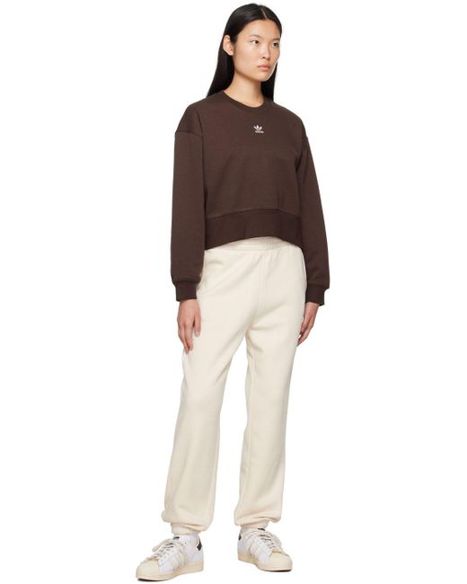 adidas Originals Brown Adicolor Essentials Sweatshirt | Lyst