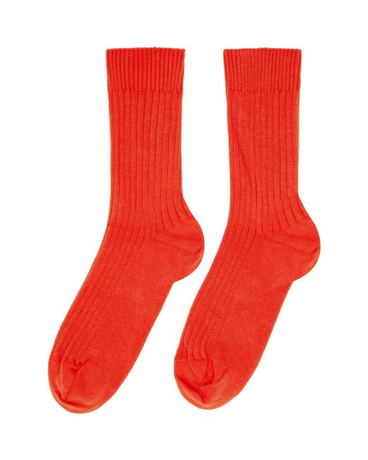 Baserange Red Three-Pack Rib Overankle Socks