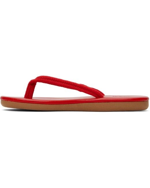 Ancient Greek Sandals Black Saionara Rope Flip-Flops