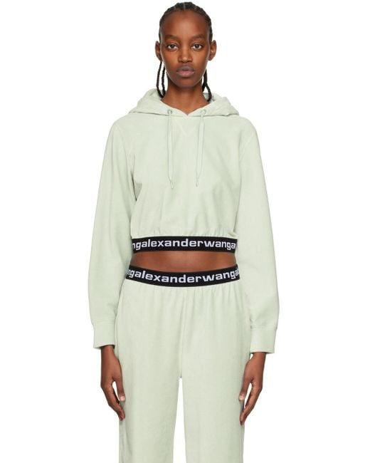 T By Alexander Wang Multicolor Gray Cropped Hoodie