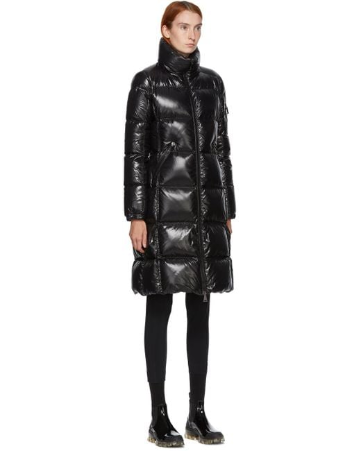 chihuahua elf costume