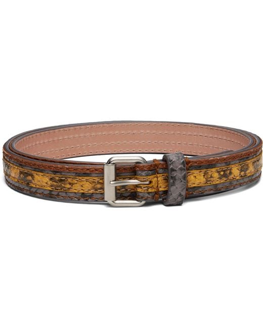 Dries Van Noten Brown Striped Belt for men
