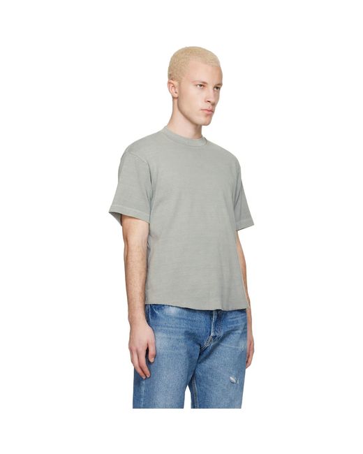 Lady White Co. Gray Sierra T-Shirt for men