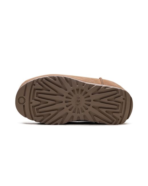Ugg Brown Anders "Chestnut" 1158215 Che"