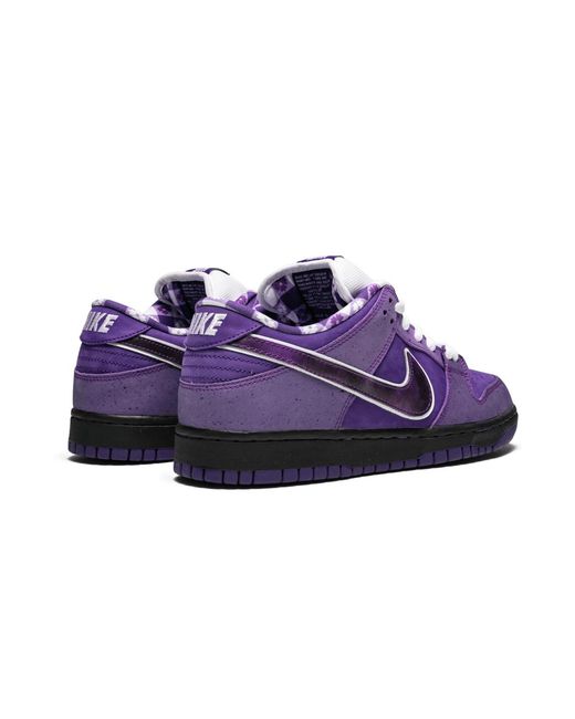 Nike Purple Sb Dunk Low Pro Og Qs "Concepts