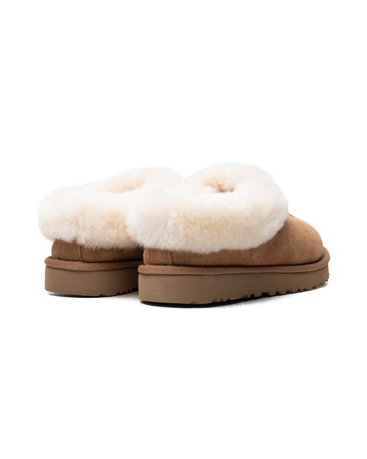 Ugg Black Tazzette "Chestnut" 1134810 Che"