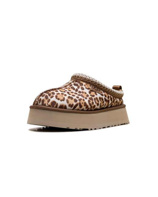 Ugg Black Tazz Plains Slipper "Felicity Leopard Jasmine" 1177890 Fdj"