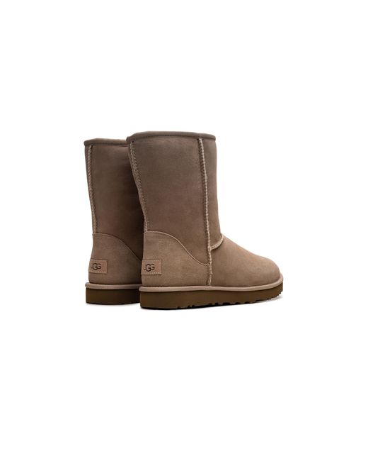 Ugg Brown Classics Short Ii "Sand" 1016223 San"