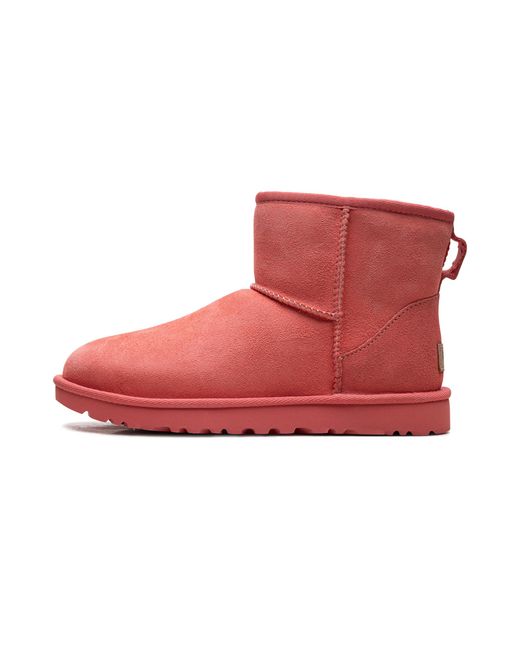 Ugg Red Classic Mini Ii "Punch" 1016222 Phpn"