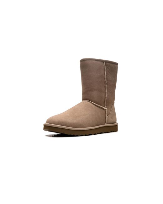Ugg Brown Classics Short Ii "Sand" 1016223 San"