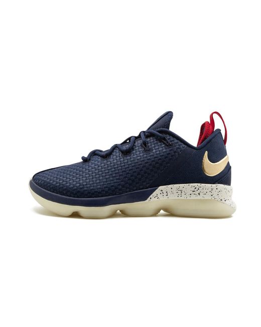 lebron navy blue shoes