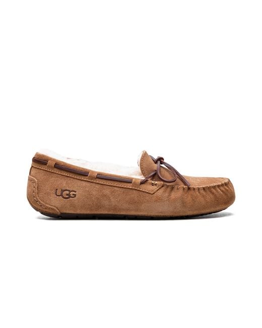 Ugg Brown Dakota 1107949 Che"