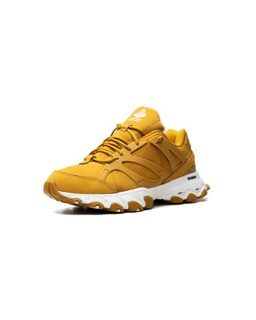Reebok Metallic Dmx Trail Shadow "Wild Khaki" Fw3335" for men