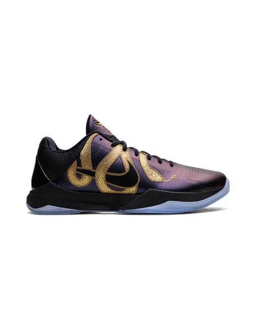 Nike Black Zoom Kobe Protro "Eggplant" Ib4481 500" for men