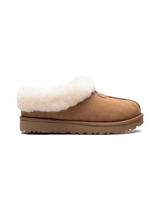 Ugg Black Tazzette "Chestnut" 1134810 Che"