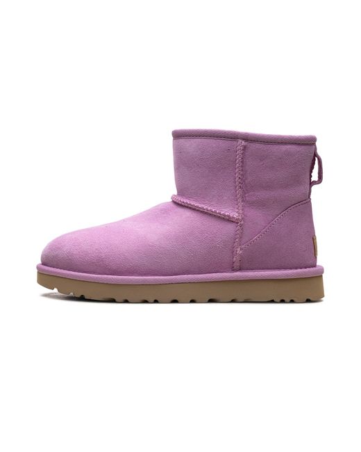 Ugg Purple Classic Mini Ii Boot "Wildflower" 1016222 Wdf"