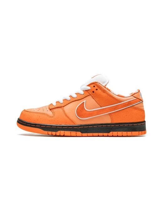 Nike Multicolor Sb Dunk Low "Concepts for men