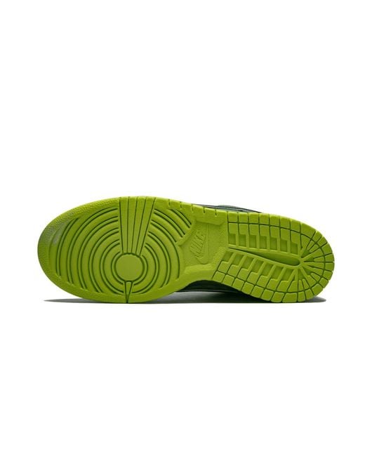 Nike Green Sb Dunk Low Pro Og Qs Special Box "Concepts for men