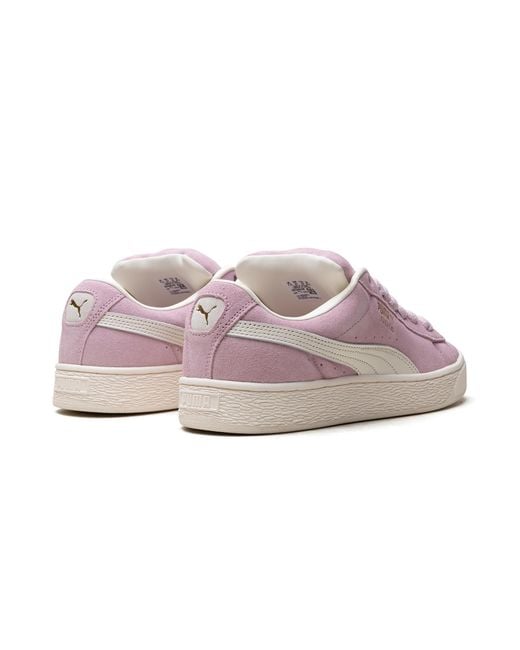 PUMA Black Suede Xl "Grape Mist" 397648 08" for men