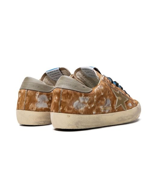 Golden Goose Deluxe Brand Black Super-Star Leopard Horsy Upper Painted Nabuk Toe Mirror Star Shiny Heel "Leo Hazelnut Light"