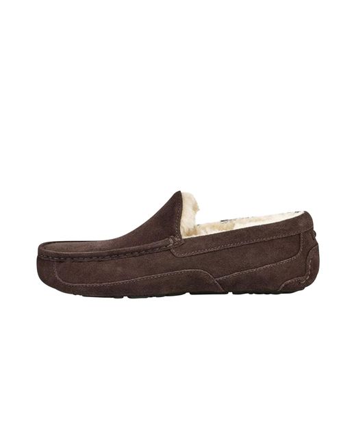 Ugg Brown Australia Ascot Moccasi "Ascot" 1101110 Esp" for men