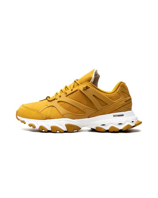 Reebok Metallic Dmx Trail Shadow "Wild Khaki" Fw3335" for men