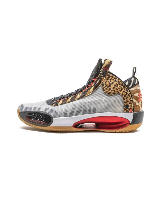 Nike Black Air Xxxiv Tatum Pe "Jayson Tatum Pe" Da1899 900" for men