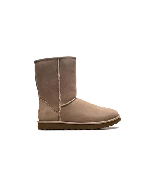 Ugg Brown Classics Short Ii "Sand" 1016223 San"