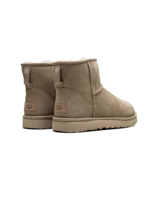 Ugg Black Classic Mini Ii "Mustard Seed" 1016222 Mdsd"