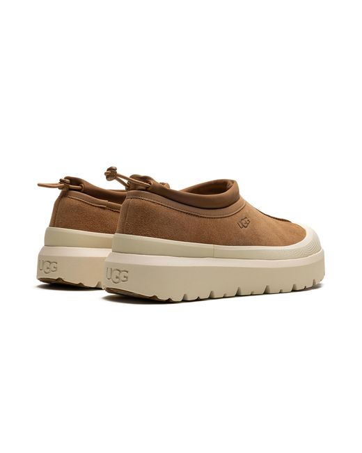 Ugg Black Tasman Weather Hybrid Slipper "Chestnut Whitecap" 1144096 Cwtc" for men