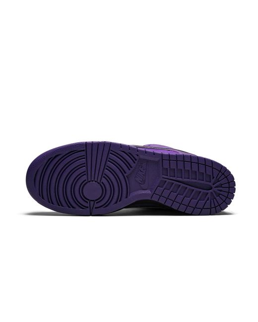 Nike Purple Sb Dunk Low Pro Og Qs "Concepts