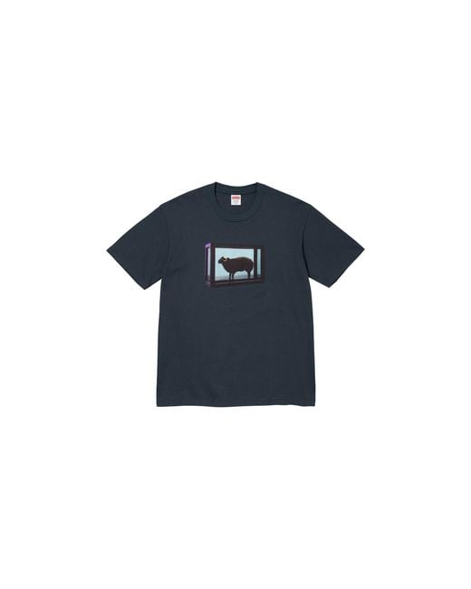 Supreme Black Damien Hirst T-Shirt Su25049"