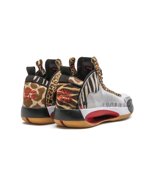 Nike Black Air Xxxiv Tatum Pe "Jayson Tatum Pe" Da1899 900" for men