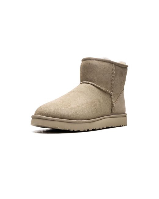 Ugg Black Classic Mini Ii "Mustard Seed" 1016222 Mdsd"