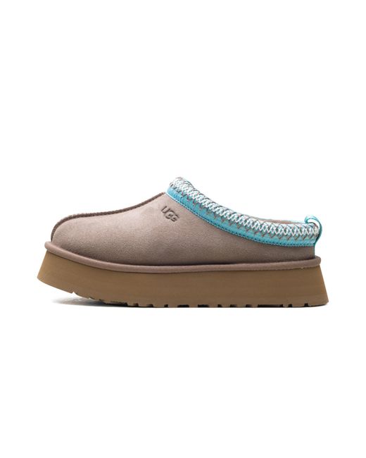 Ugg Black Tazz Ii Slipper "Caribou Sapphire Ice" 1174471 Cpph"