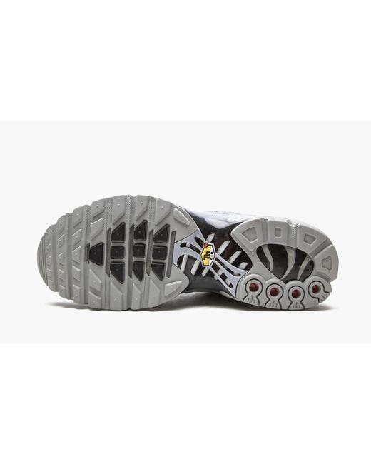 Nike Gray Air Max Plus for men