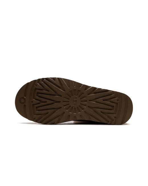 Ugg Brown Classics Short Ii "Sand" 1016223 San"