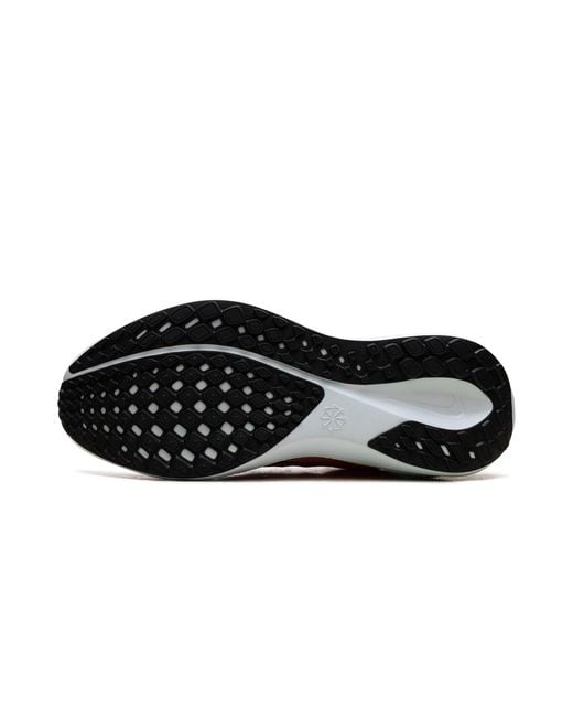 Nike Black Air Zoom Pegasus 41 "Summit" Fd2723 100"