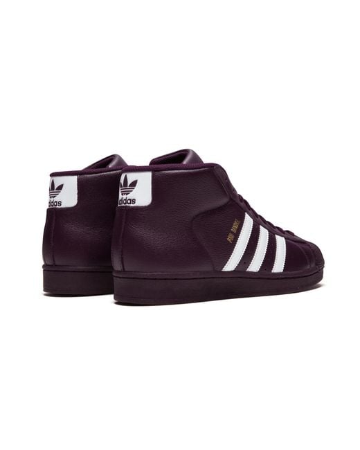 adidas Pro Model in Purple for Men | Lyst display picture 1
